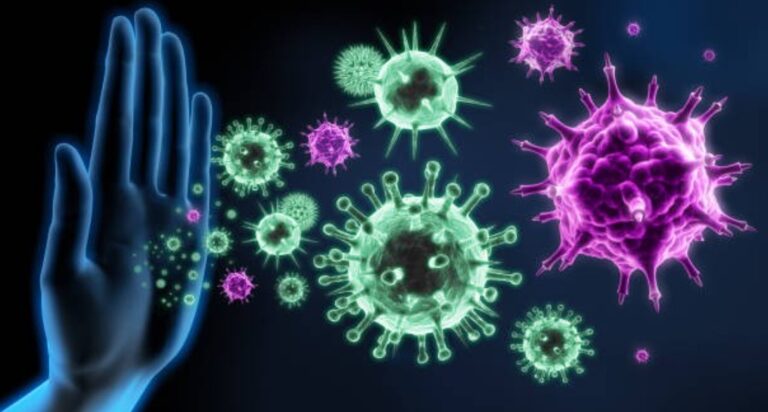 Building a Strong Immune System: Essential Health Prevention Strategies